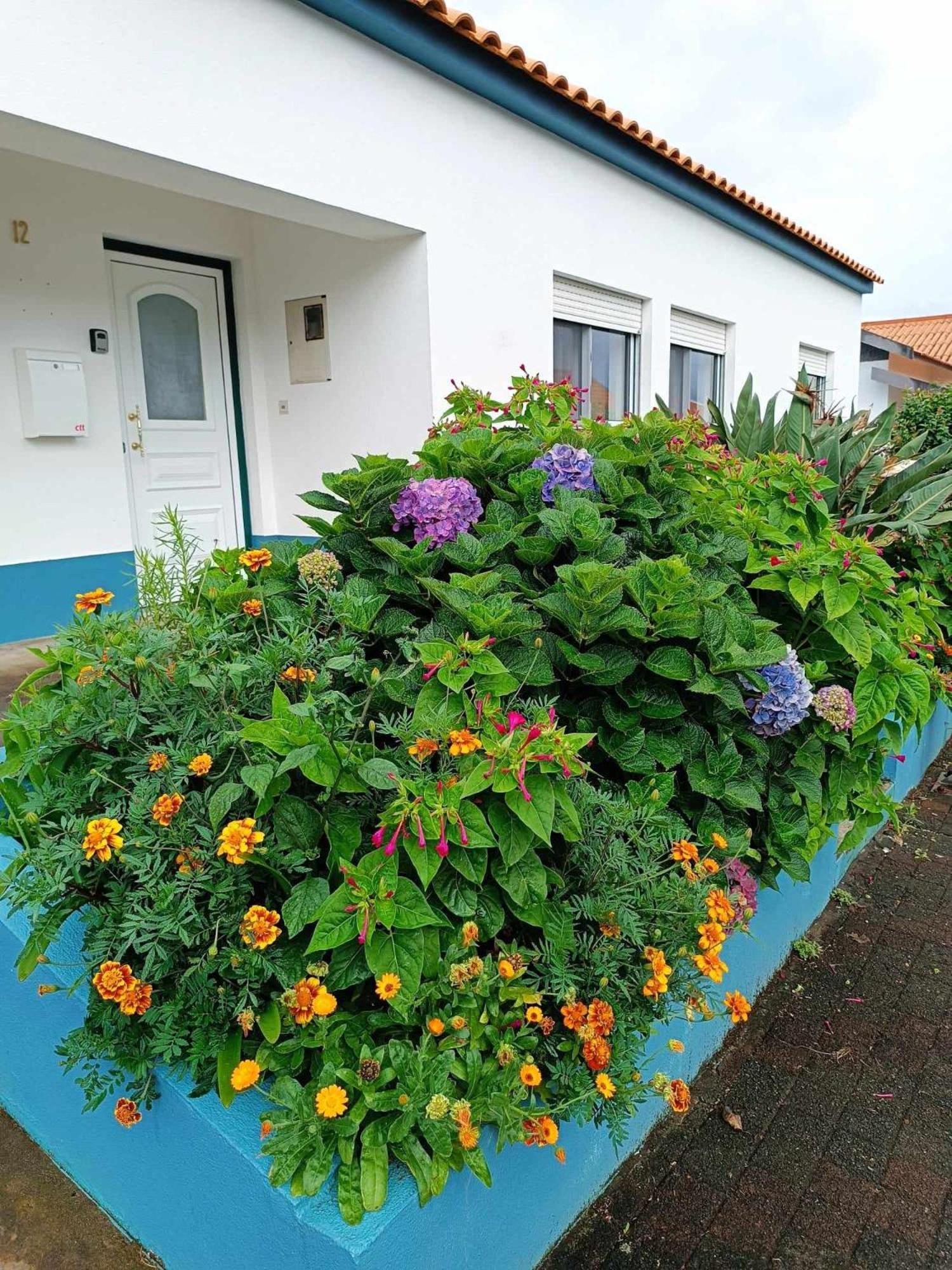 סנטה קרוז דאס פלורס Apartamento Da Matilde מראה חיצוני תמונה